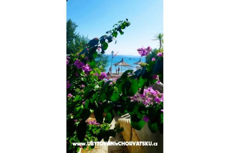 Appartements Bonaca – foto 11