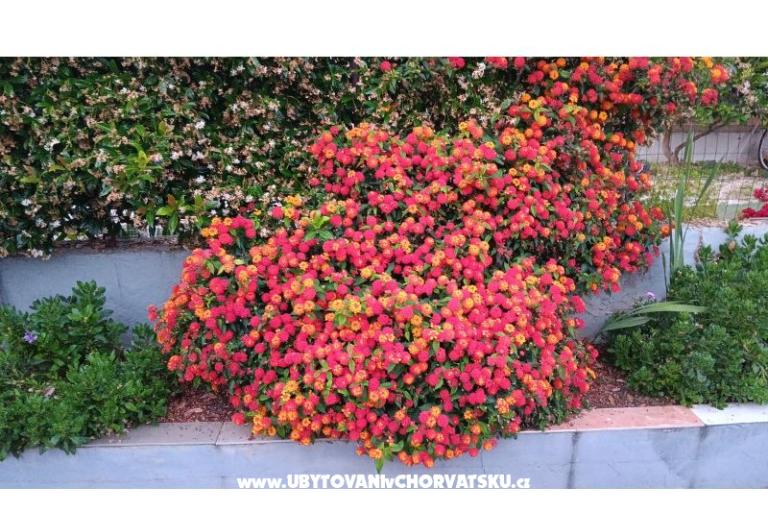 Appartements Filip – foto 18