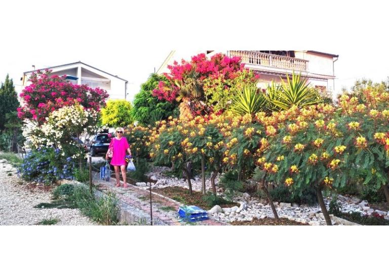 Appartements Jadranka – foto 4