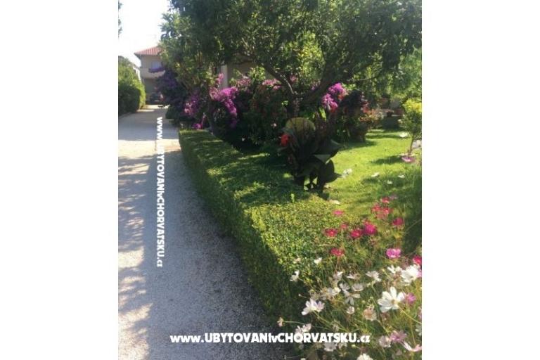 Appartements Jasa  – foto 10