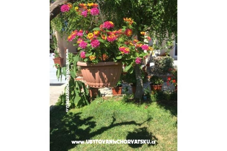 Appartements Jasa  – foto 15