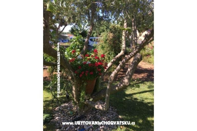 Appartements Jasa  – foto 16