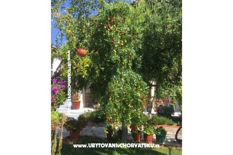 Appartements Jasa  – foto 7