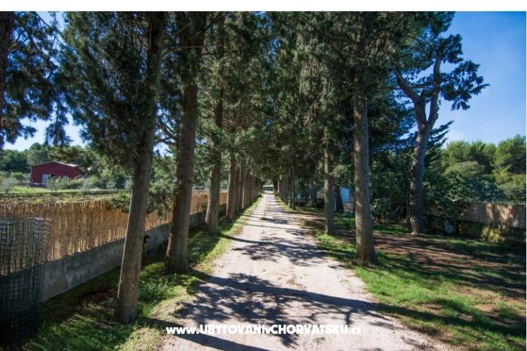 Appartements Kukin – foto 14