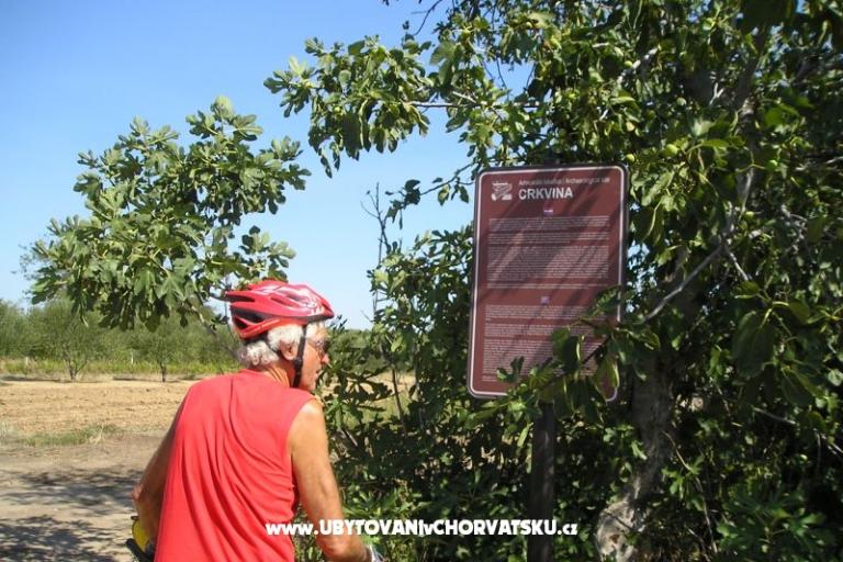 Appartements Mario – foto 17