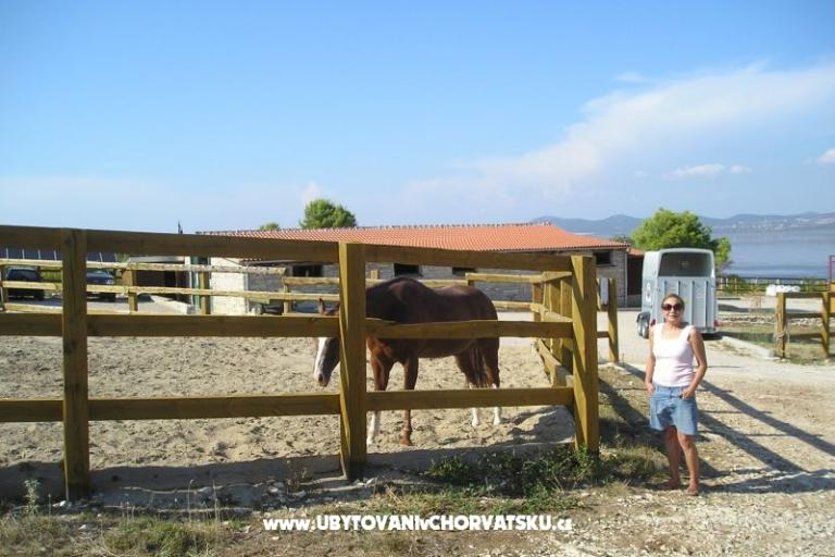 Appartements Mario – foto 18