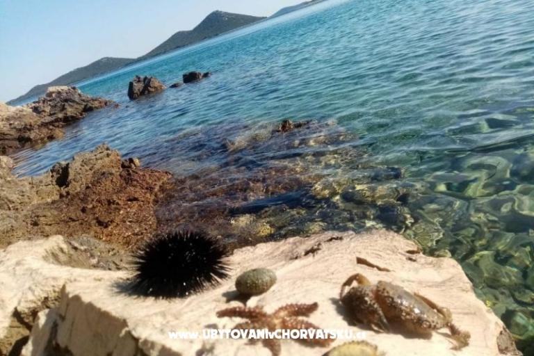 Appartements Nakić – foto 22