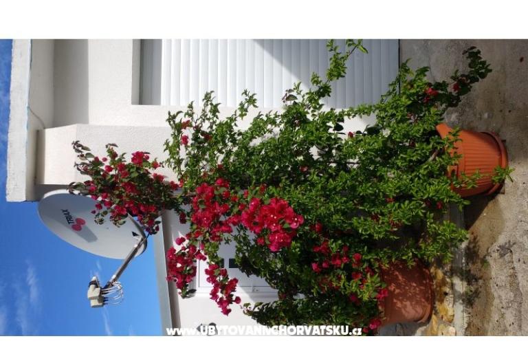 Appartements Pipi – foto 12