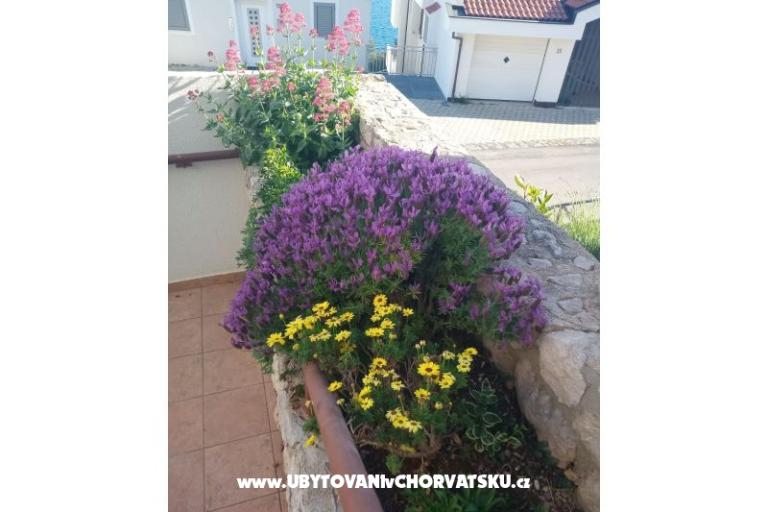 Appartements Šimun – foto 11