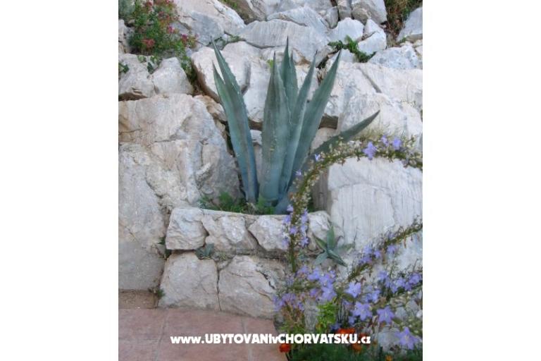 Appartements Šimun – foto 8