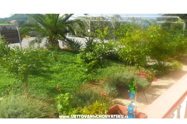 Appartements Leo – foto 22