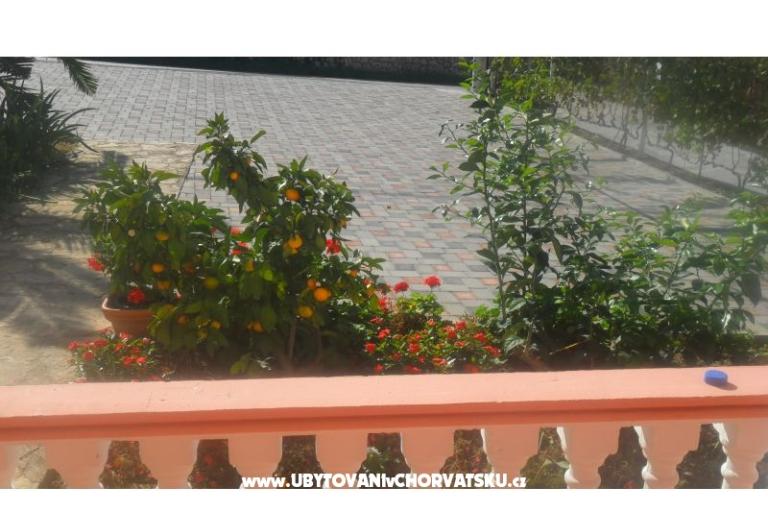 Appartements Leo – foto 24