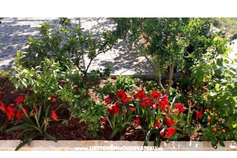 Appartements Leo – foto 36