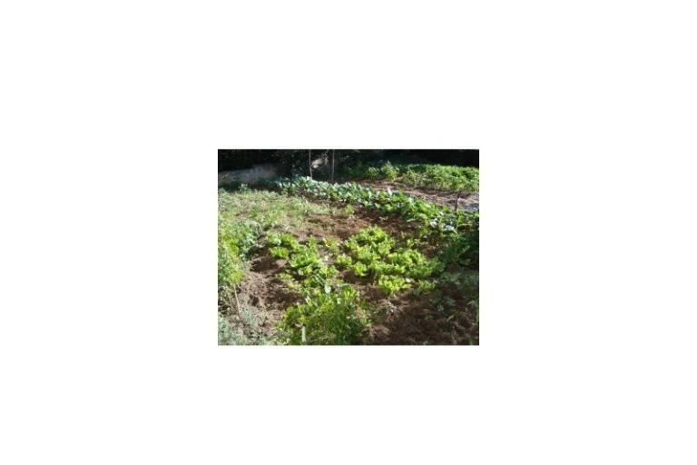 Appartements Rosan Pakostane – foto 15