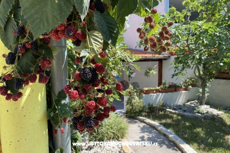 Beach Maison Punta – foto 7