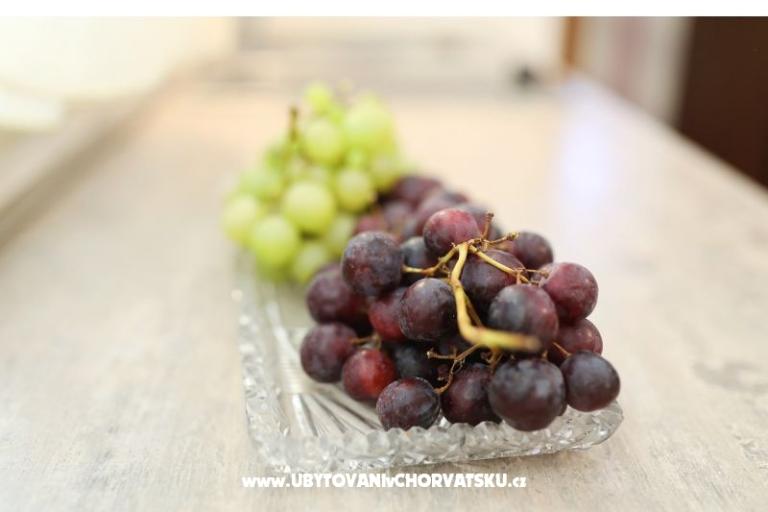 Pakoštane Appartements Ana – foto 19