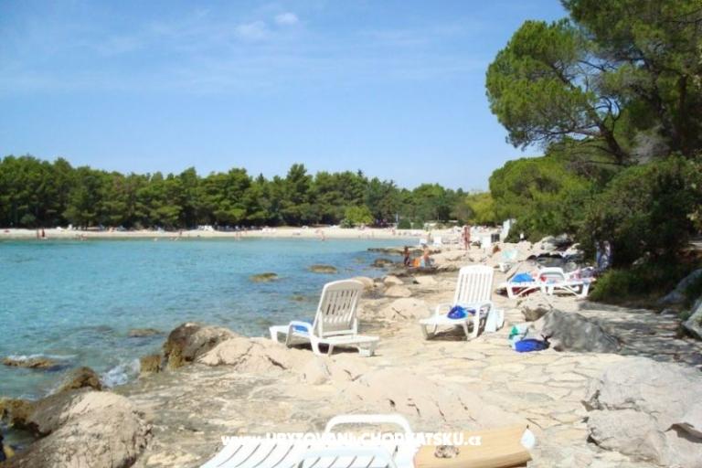 Pine Villa – foto 14