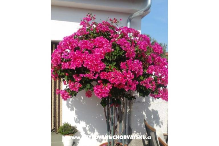 Appartements Pipi – foto 7