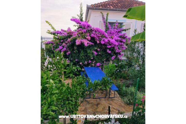 Appartements Marija-Tkon – foto 10