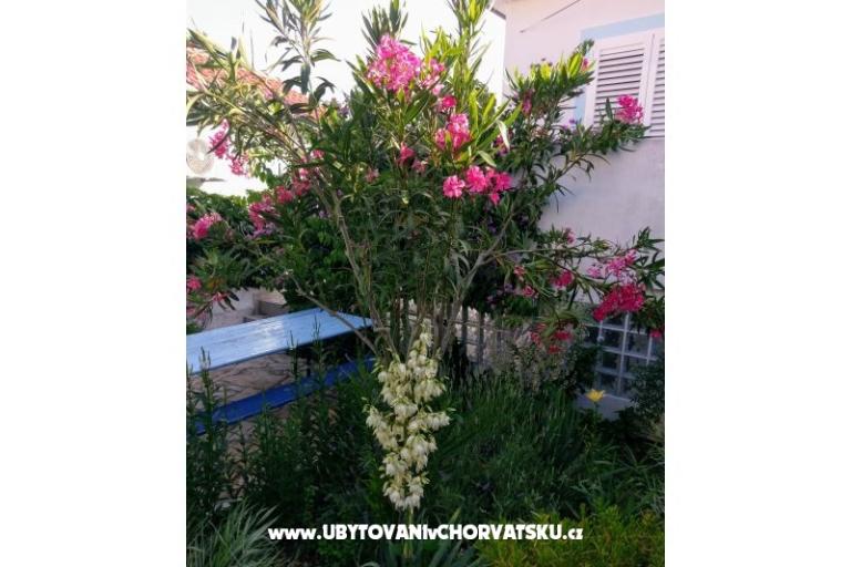 Appartements Marija-Tkon – foto 3