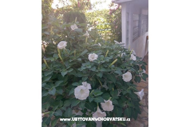 Appartements Marija-Tkon – foto 6