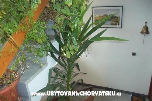 Appartements Dragica Pedisic – foto 9