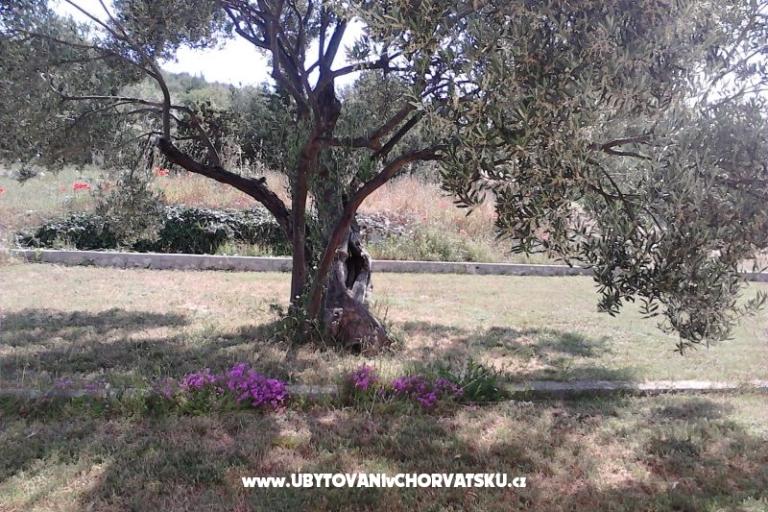 Appartements Villa Banjka – foto 17