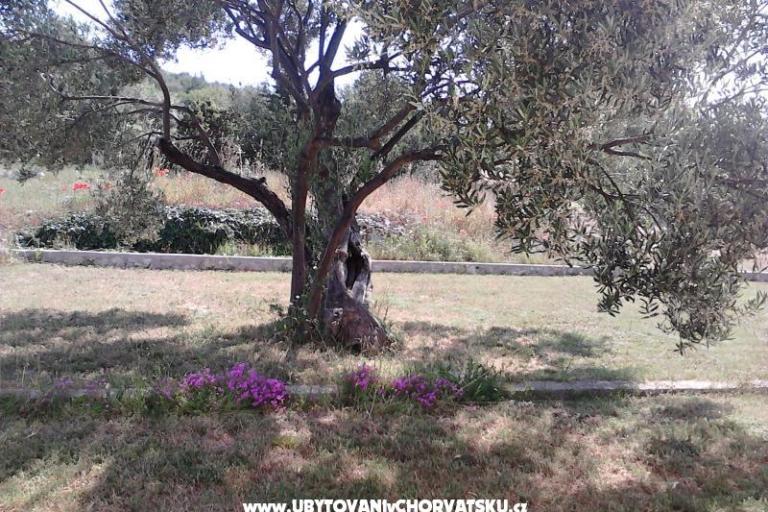 Appartements Villa Banjka – foto 8