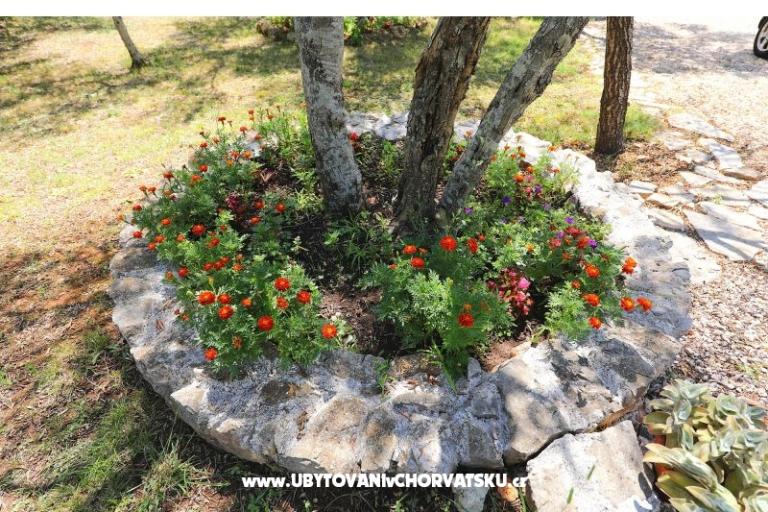 Appartements Suzana – foto 18