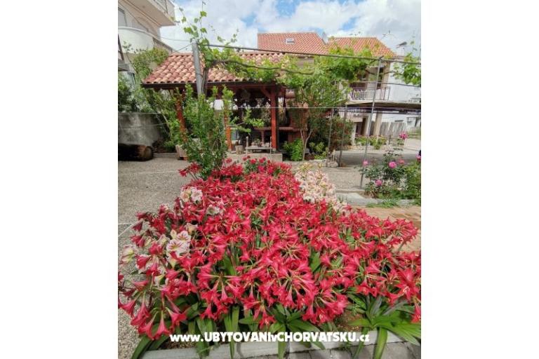 Appartements Ivan  – foto 14