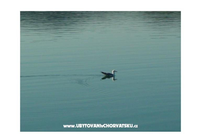 Appartements Anka Šinkić – foto 15