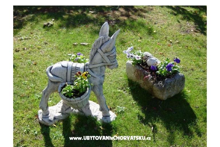 Appartements Anka Šinkić – foto 16