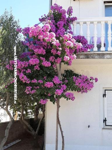 Apartnani Lana Pirovac – foto 2