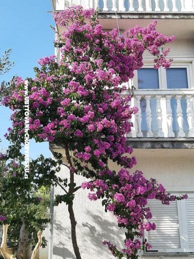 Appartements Lana Pirovac – foto 21