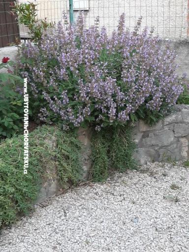 Appartements Lana Pirovac – foto 26