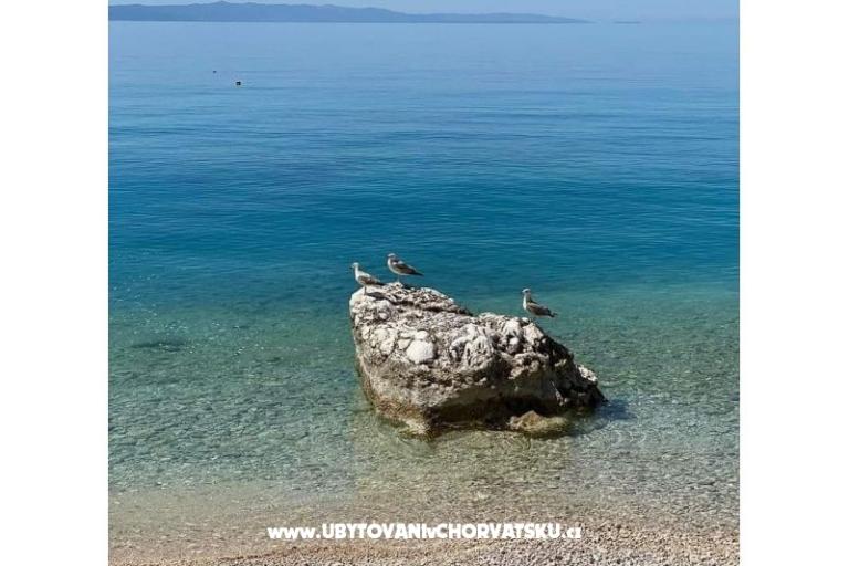 Villa Stefa Pirovac  – foto 10