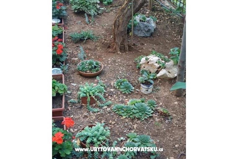 Villa Stefa Pirovac  – foto 17