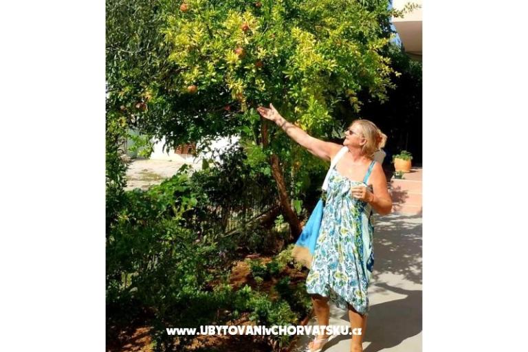 Villa Stefa Pirovac  – foto 22