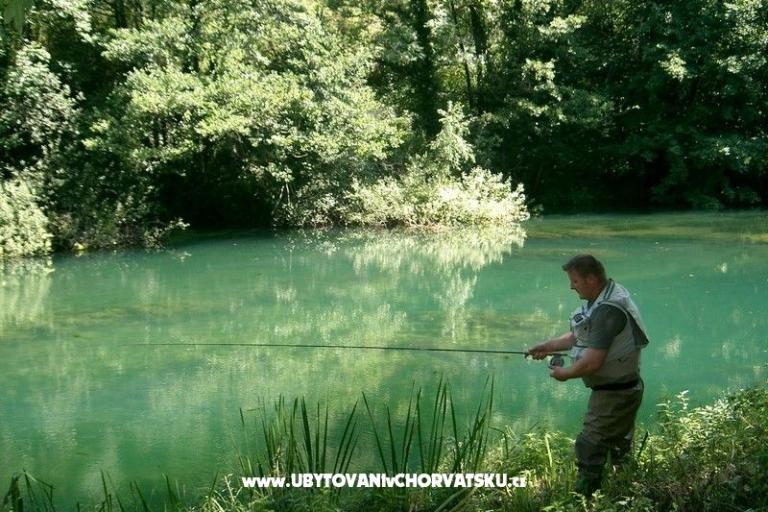 Appartements Lucić – foto 15