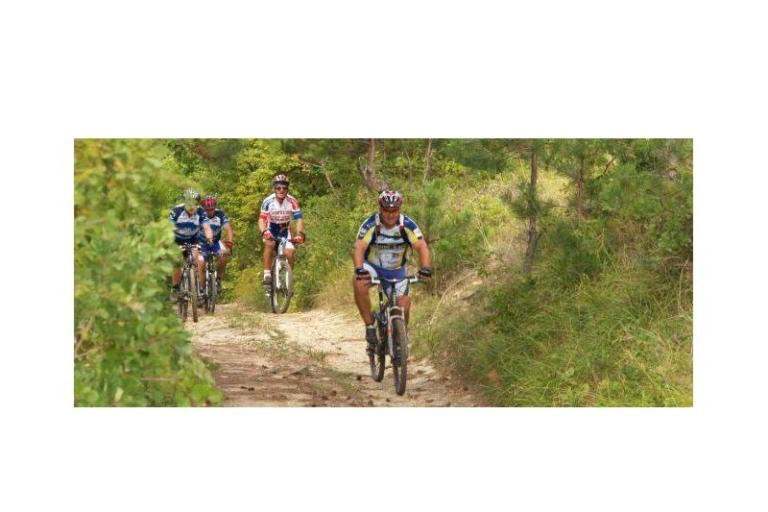 Appartements Lucić – foto 16