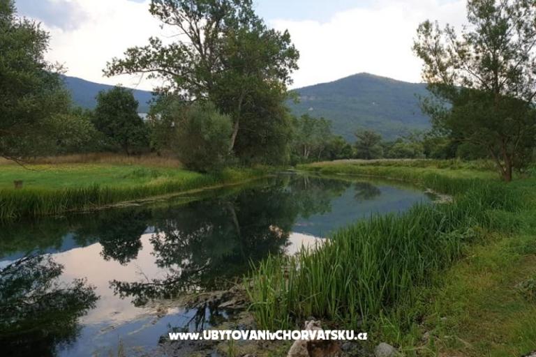 Appartements Paradiso – foto 10