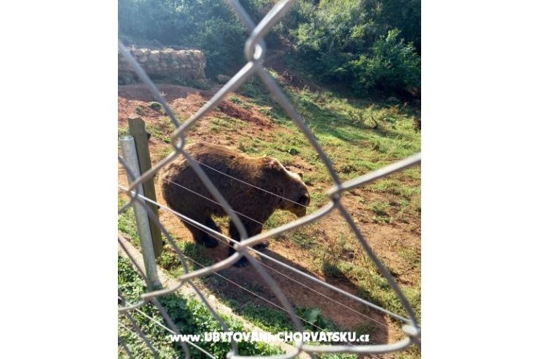 Appartements Paradiso – foto 11