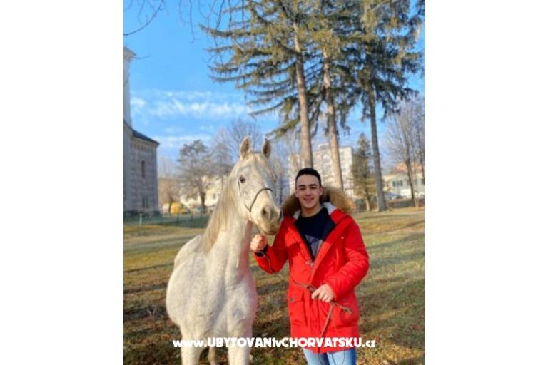 Appartements Paradiso – foto 14