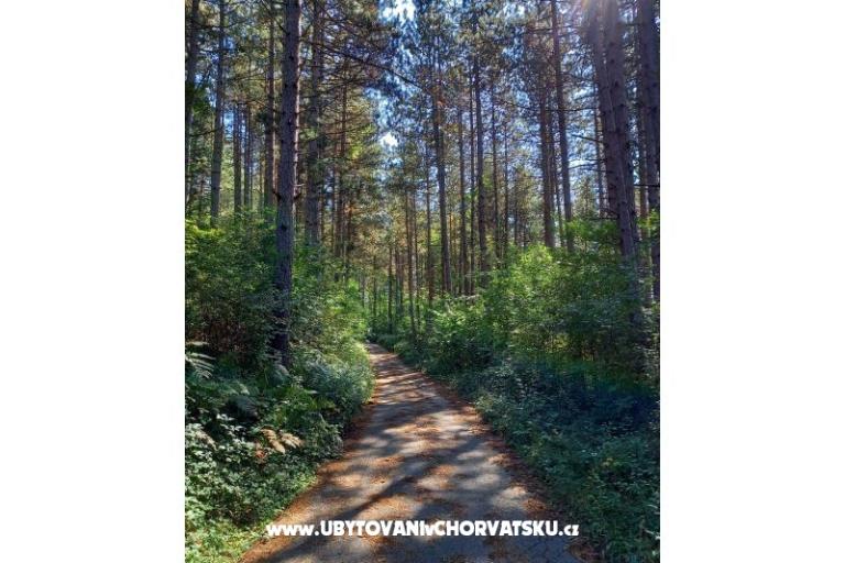 Appartements Paradiso – foto 15