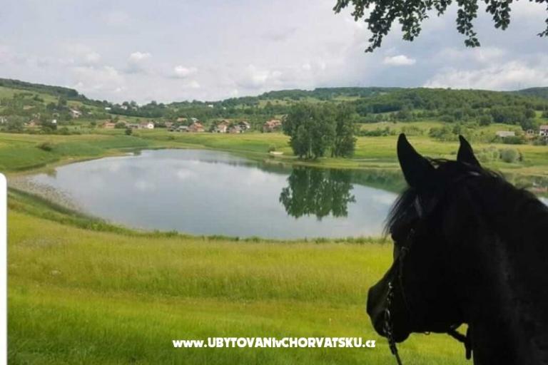 Appartements Paradiso – foto 7