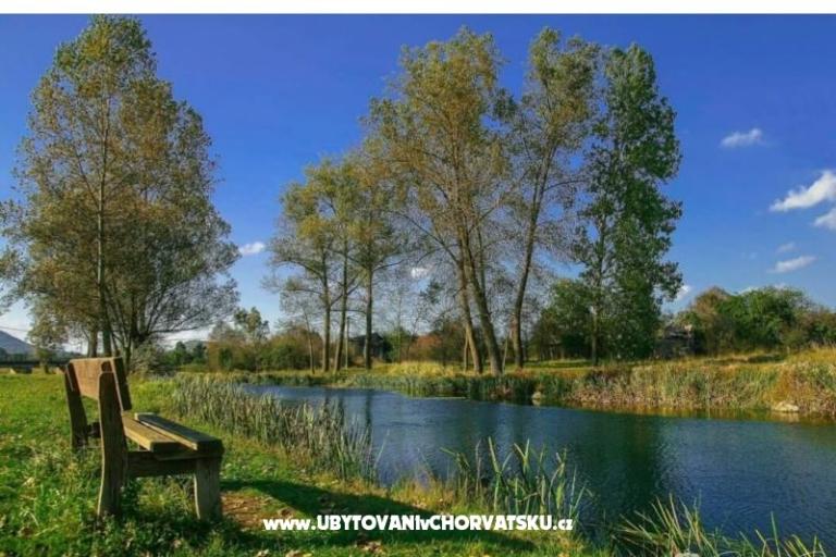 Appartements Paradiso – foto 8