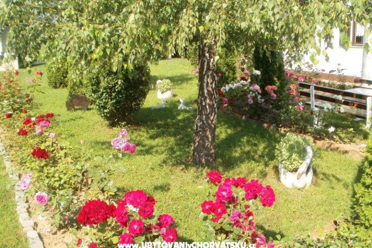 Maison Pavlic – foto 14