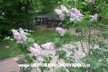 Chambres Veronika – foto 13