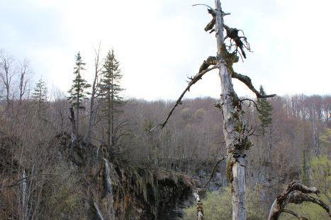 Appartements Marija – foto 6