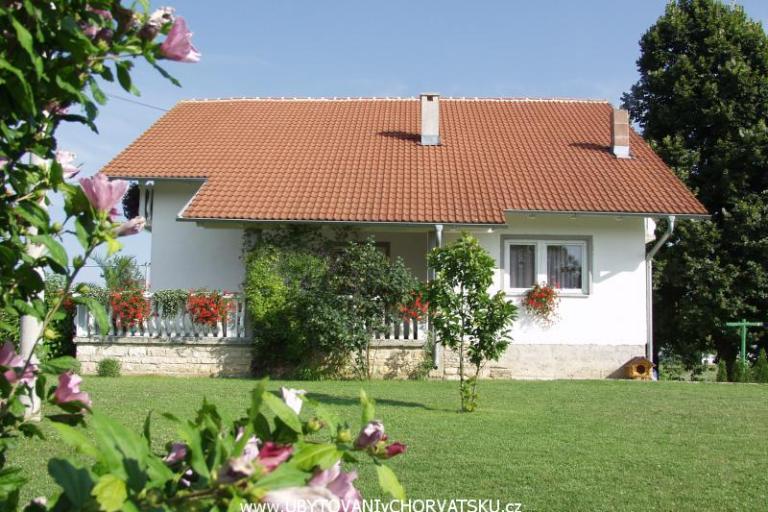 White Maison – foto 6